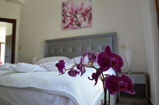 Апартаменты Bocche di Cattaro Apartments Котор Апартаменты с 1 спальней, террасой и видом на море-48