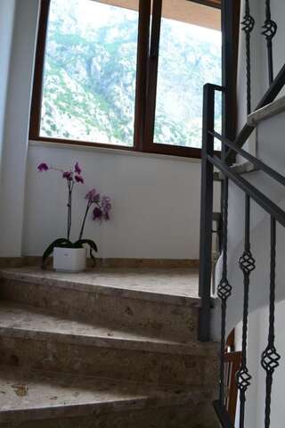 Апартаменты Bocche di Cattaro Apartments Котор Апартаменты с 1 спальней, террасой и видом на море-70